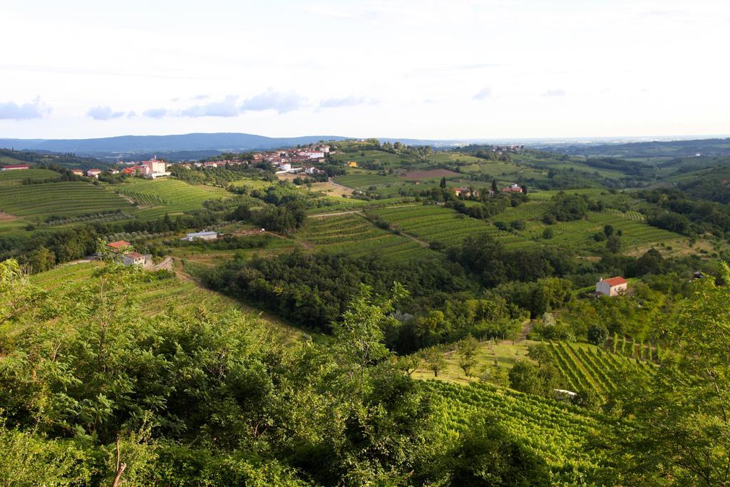 Boutique Hotel Dvor Dobrovo Zewnętrze zdjęcie